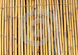 Dry bamboo fence as an abstract background. Texture