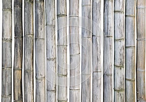 Dry Bamboo stems sticks isolate set on white background