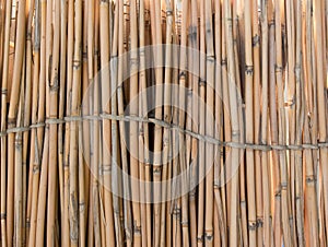 Dry Bamboo sticks as background