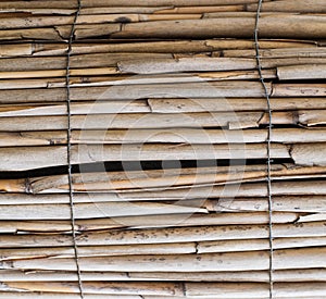 Dry bamboo sticks, fence. background, texture.