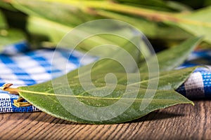 Dry bay leaf