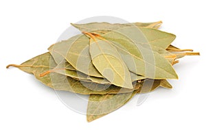 Dry bay leaf