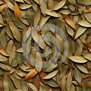 Dry Bay Leaves Pattern, Laurel Leaf Texture, Natural Spicy Bayleaf Background, Fragrant Ingredient