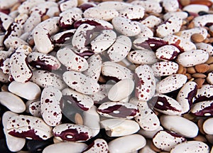 Dry beans