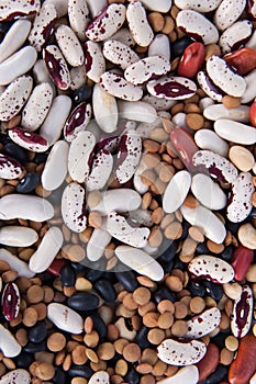 Dry beans