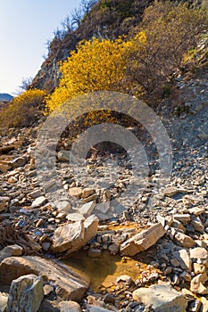 Dry bed of a mountain river