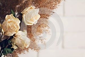 Dry beige roses and reeds bouquet on cream background