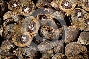 Dry betel nut