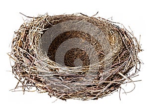 dry bird nest isolated on white background