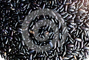Dry black dark purple kidney beans seeds. Ecological green photo. Healthy vegetarian food. Vegan photo