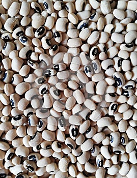 Dry Black-eyed beans closeup, cowpeas