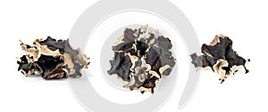 Dry Black Fungus, Tree Ear or Wood Ear Mushroom Isolated