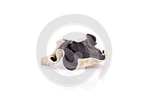Dry black mushroom ear isolated on white
