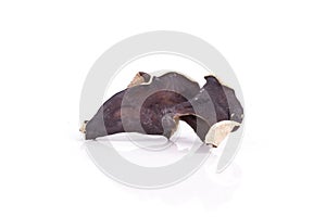 Dry black mushroom ear isolated on white