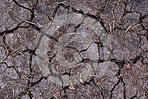 Dry black soil with cracks. Denotes water scarcity