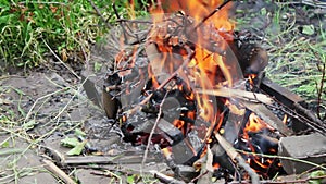 Dry branches burn on ground, branches of trees burn on fire