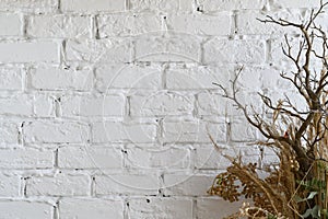 Dry branches and flowers on the background of a white brick wall. Place for text