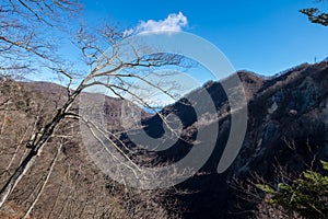 Dry branches of trees and forest without leaf in winter at Kegon waterfall, Nikko, Japan.