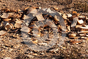 Dry Bread Waste Leftover Food