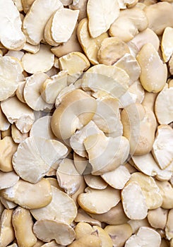 Dry broad beans on a white background