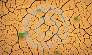 Dry and broken orange soil and tiny tree vector background , texture of grungy dry cracking parched
