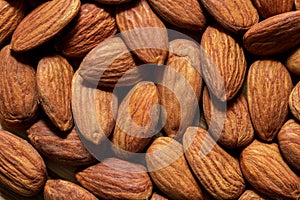 Dry brown apricot kernels full screen