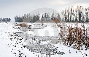 Dry brown colored reeds in the foreground of a winter landscape