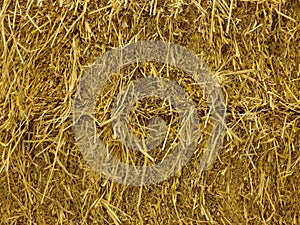 Dry brown grass hay stack wall background