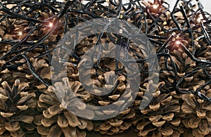 Dry Brown Pine Cones Background, Texture or Pattern