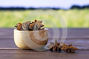 Dry brown star anise fruit with field behind
