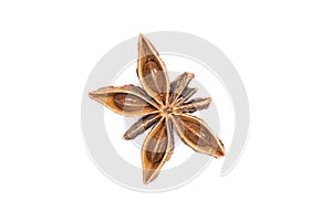 Dry brown star anise fruit isolated on white