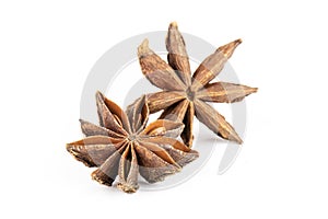 Dry brown star anise fruit isolated on white