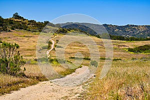 Trail through a field going back toward mountains