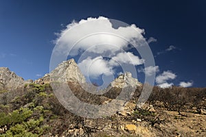 Dry burned fynbos and clouds