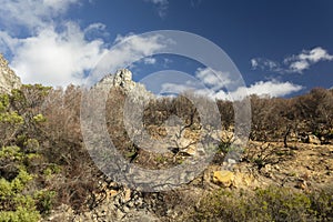 Dry burned fynbos and clouds