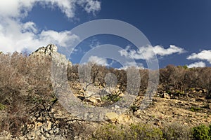 Dry burned fynbos and clouds