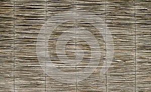 Dry cane reed fence texture. Rustic paling from natural material thin wire connected