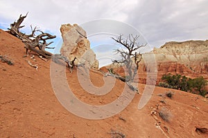 Dry canyonland landscape photo