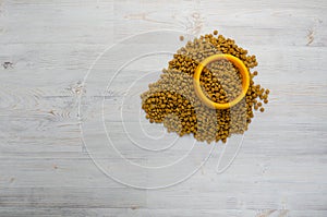 Dry cat or dog food in bowl on wooden background with copy space, top view