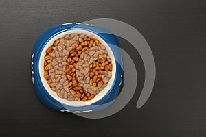 Dry cat food in ceramic bowl on black floor