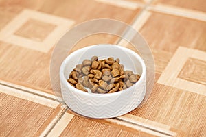 Dry Cat Food in a Stylish Ceramic Bowl