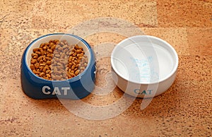 Dry cat food and water in bowl on brown floor
