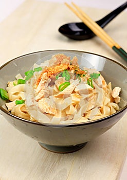 Dry Chicken Noodle