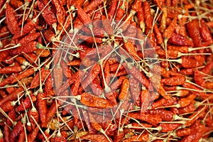 Dry chili background