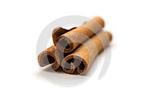 Dry Cinnamon Bark Closeup