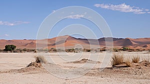 Dry clay pan with red desert sand dunes, Sossusvlei, Namibia