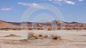 Dry clay pan with red desert sand dunes, Sossusvlei, Namibia