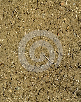 Dry clay and straws wall