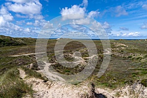 Dry clearing in Nationalpark Thy in Denmark.