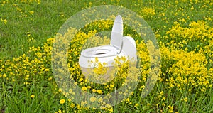 dry closet among green grass and yellow flowers